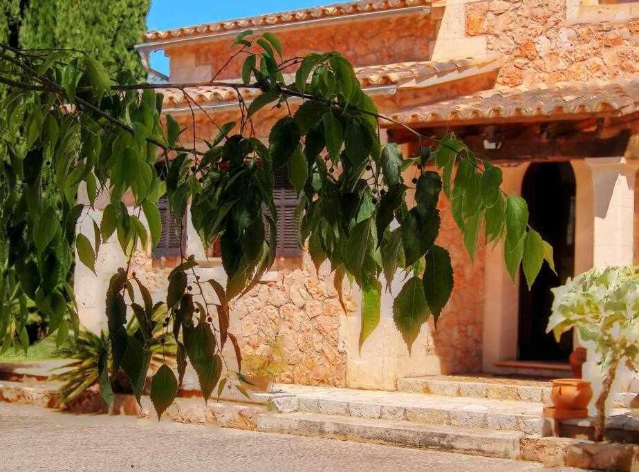Ciclismo Y Golf Junto A La Playa Finca Son Sant Marti Gran Villa Muro Екстериор снимка
